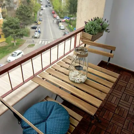 Lunii 6 Cluj-Napoca